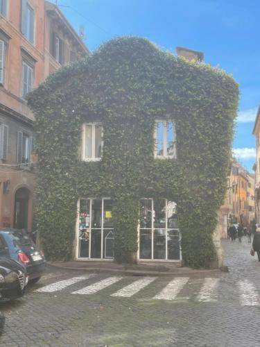 Monti Bed & Breakfast | 28 m² Bed and breakfast ∙ 3 guests