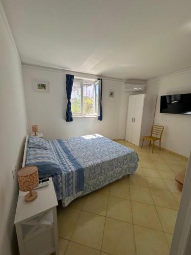 Ponza Apartment | Agenzia Isotur Casa Tartarughe