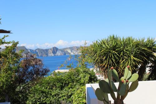 Ponza Bed & Breakfast | Agenzia Isotur Villa Olimpia