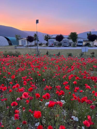 Norcia Other | Agricamping Brandimarte - Bungalow del pastore