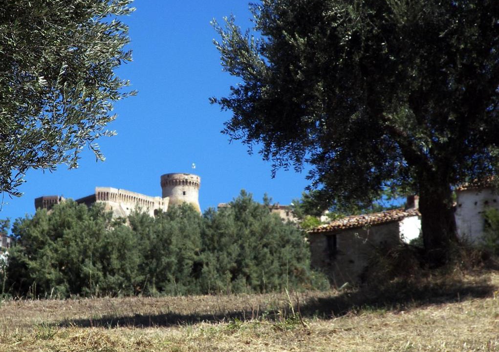 Acquaviva Picena House | Agriturismo Aqua Viva