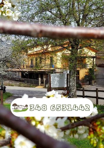 Mormanno House | Agriturismo Aria Fina