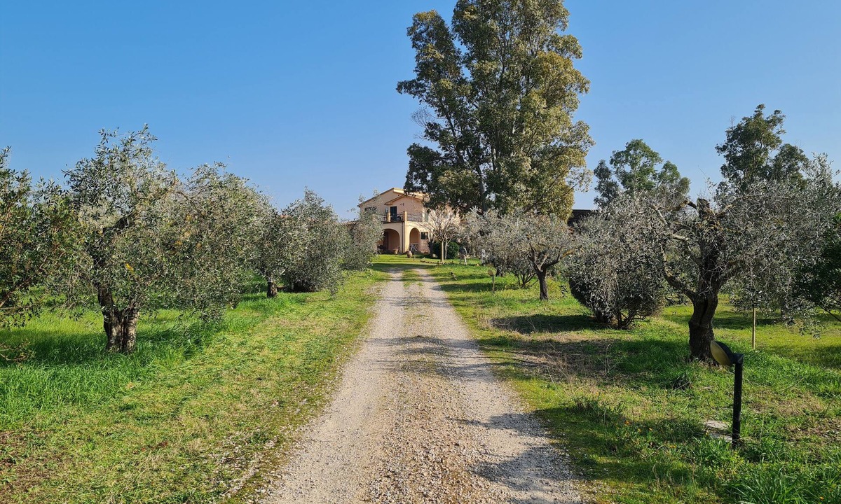 Grosseto House | Agriturismo Buonavista - Parco della Maremma