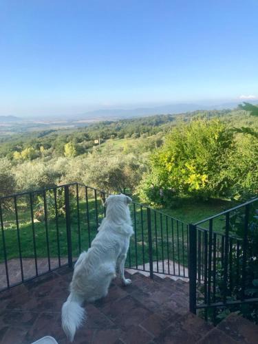 Roccastrada House | Agriturismo Campo al Crognolo