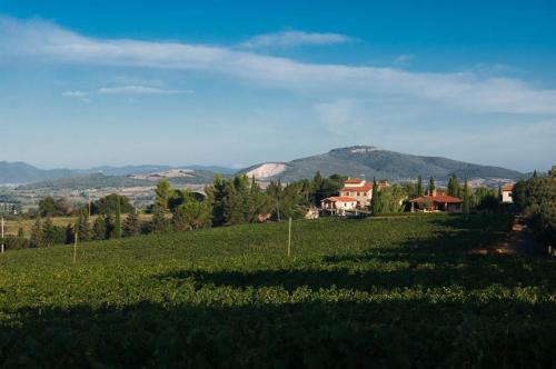 Scansano House | Agriturismo Diaccialone