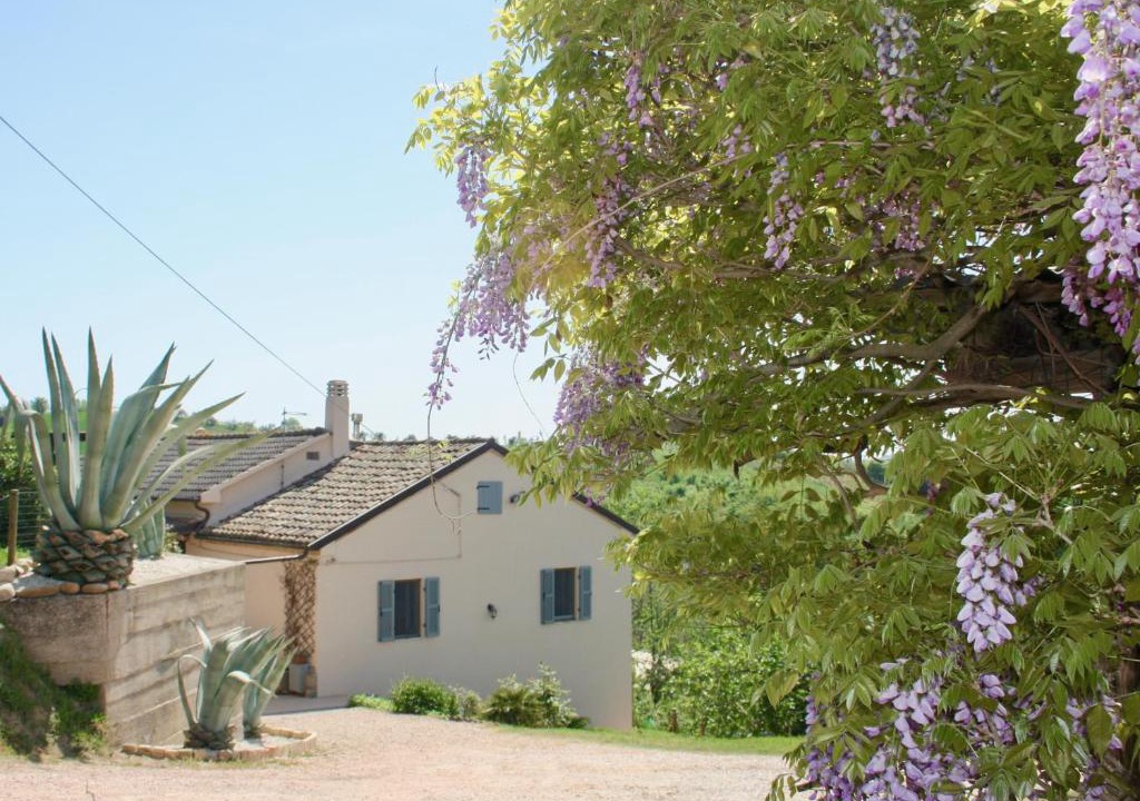 Cossignano Apartment | Agriturismo Fortuna Verde