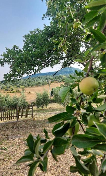 Semproniano House | Agriturismo il Cantiniere