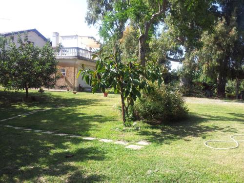 Maida House | Agriturismo Il Casotto