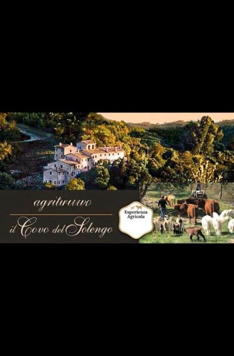 Valtopina House | Agriturismo Il Covo del Solengo natura animali a due passi da Assisi