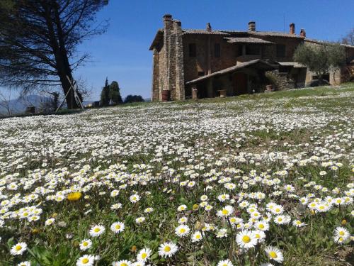 Acquapendente House | Agriturismo Le Roghete