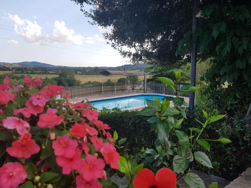 Monterotondo Marittimo Apartment | Agriturismo Mezzo Poggio Suvereto