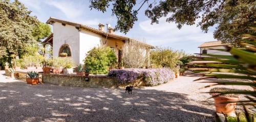 Grosseto House | Agriturismo Podere Bellavista