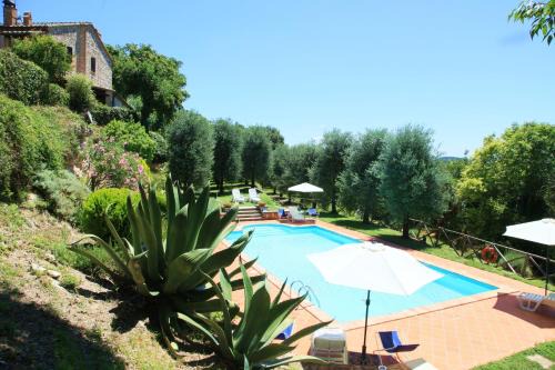 Amelia House | Agriturismo Podere Luchiano