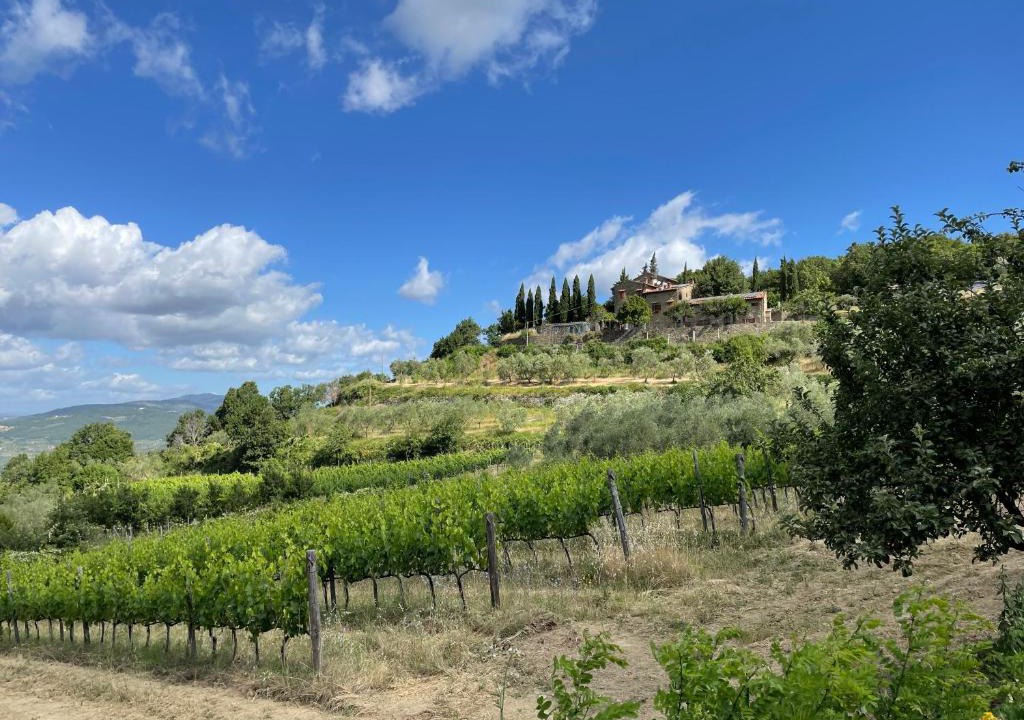 Rufina Bed & Breakfast | Agriturismo Podere Querceto