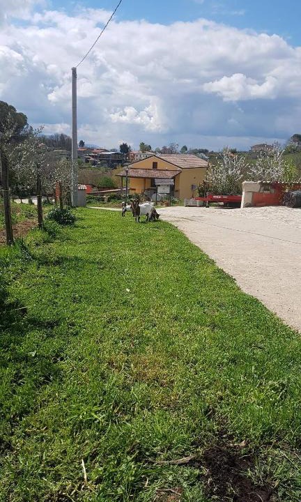 Ariano Irpino Bed & Breakfast | Agriturismo San Tommaso