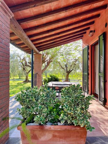Grosseto House | Agriturismo Valdo
