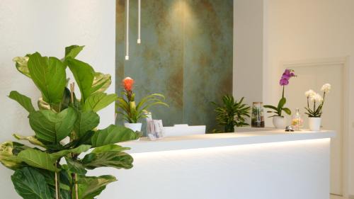 Vieste Hotel | Albergo San Giorgio