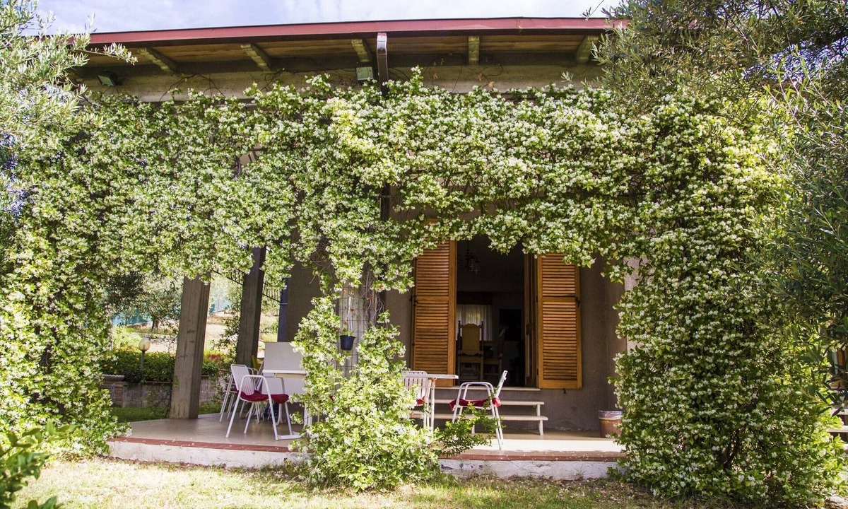 Montelaguardia House | Amid olive trees, BBQ, garden, parking, 10 min to centre & motorway