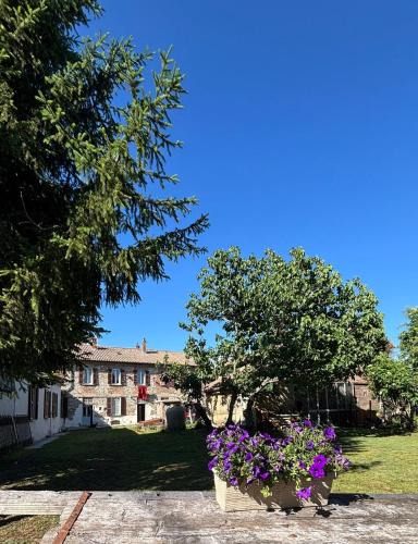 Pinarolo Po Apartment | Antico Casale