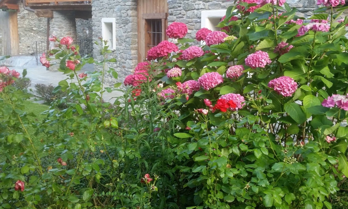 Saint Maurice Apartment | Apartment in Historical Village 700 slm a Mansion