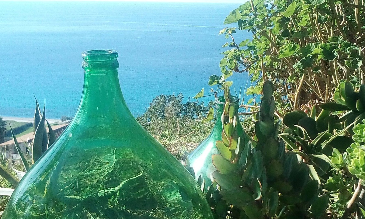Marina di Zambrone Apartment | apartment in the garden with sea view