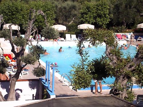 Montincello Apartment | Appartamenti con piscina Vieste Mare