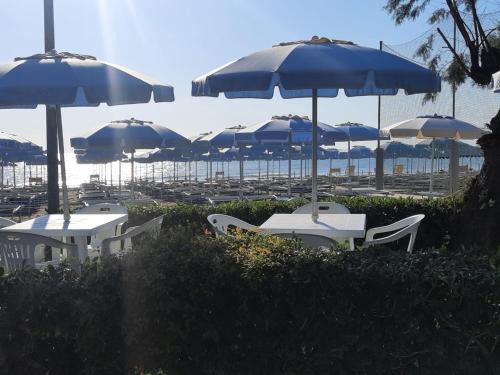 Alba Adriatica Apartment | Appartamenti Corallo