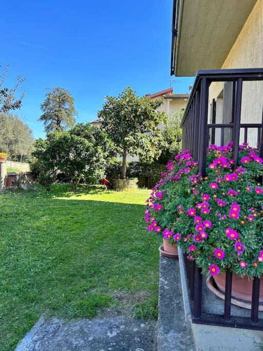 Ribolla Apartment | Appartamento Albatros