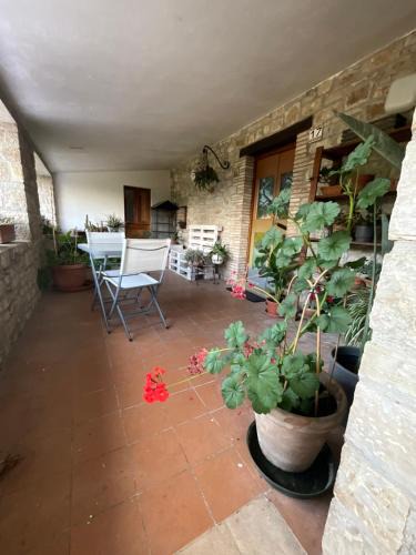 Todi Apartment | Appartamento "IL Casale di Casagiove"
