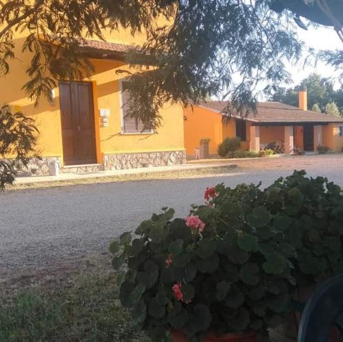 Magliano in Toscana House | Appartamento da marco