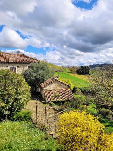 Cessole Apartment | Appartamento Moscato in Cascina Marenco Langhe Country House