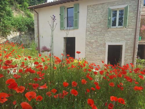 Calmazzo Apartment | Appartement Nido Visone