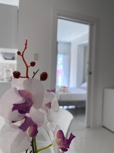Vietri sul Mare Apartment | Aretusa Resort Amalfi Coast