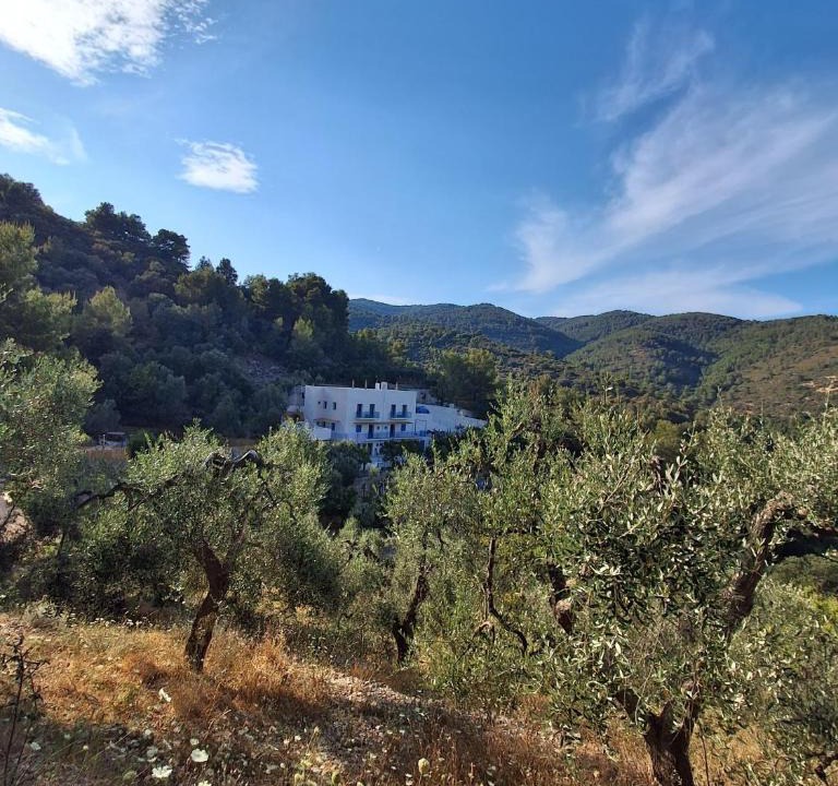 Mattinata Apartment | ARTEAMARE in Vignanotica