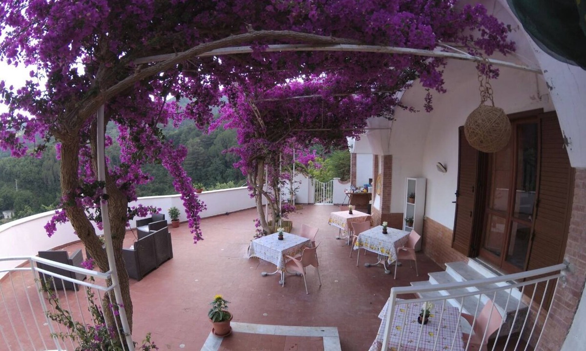Pucara Bed & Breakfast | B&B Bouganville in Pucara