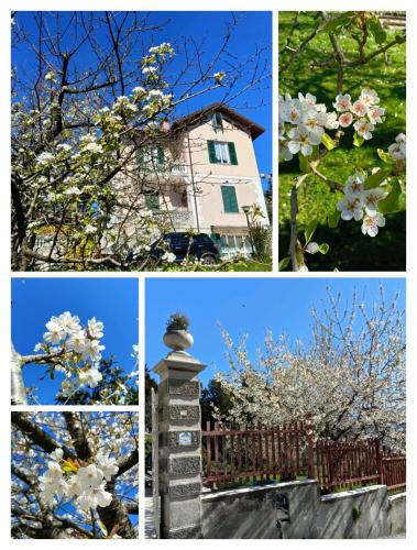 Busalla Bed & Breakfast | b&b Casa Galletti