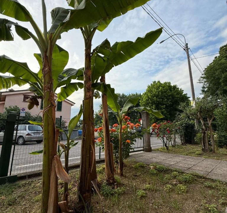Imola Bed & Breakfast | B&B Il Balcone Fiorito