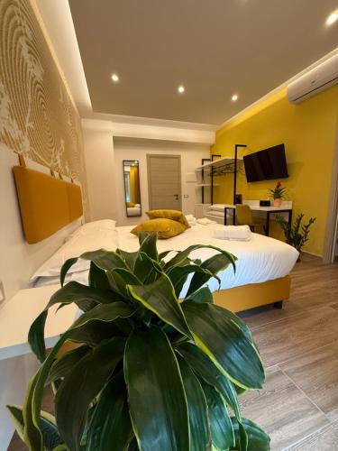 Foggia Bed & Breakfast | B&B Il sogno in Colori