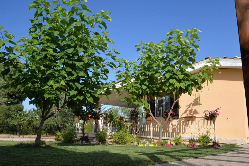 Corato Bed & Breakfast | B&B Lara Santola