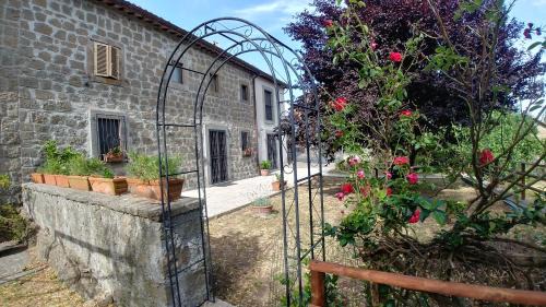 Montefiascone Bed & Breakfast | B&B Paternocchio