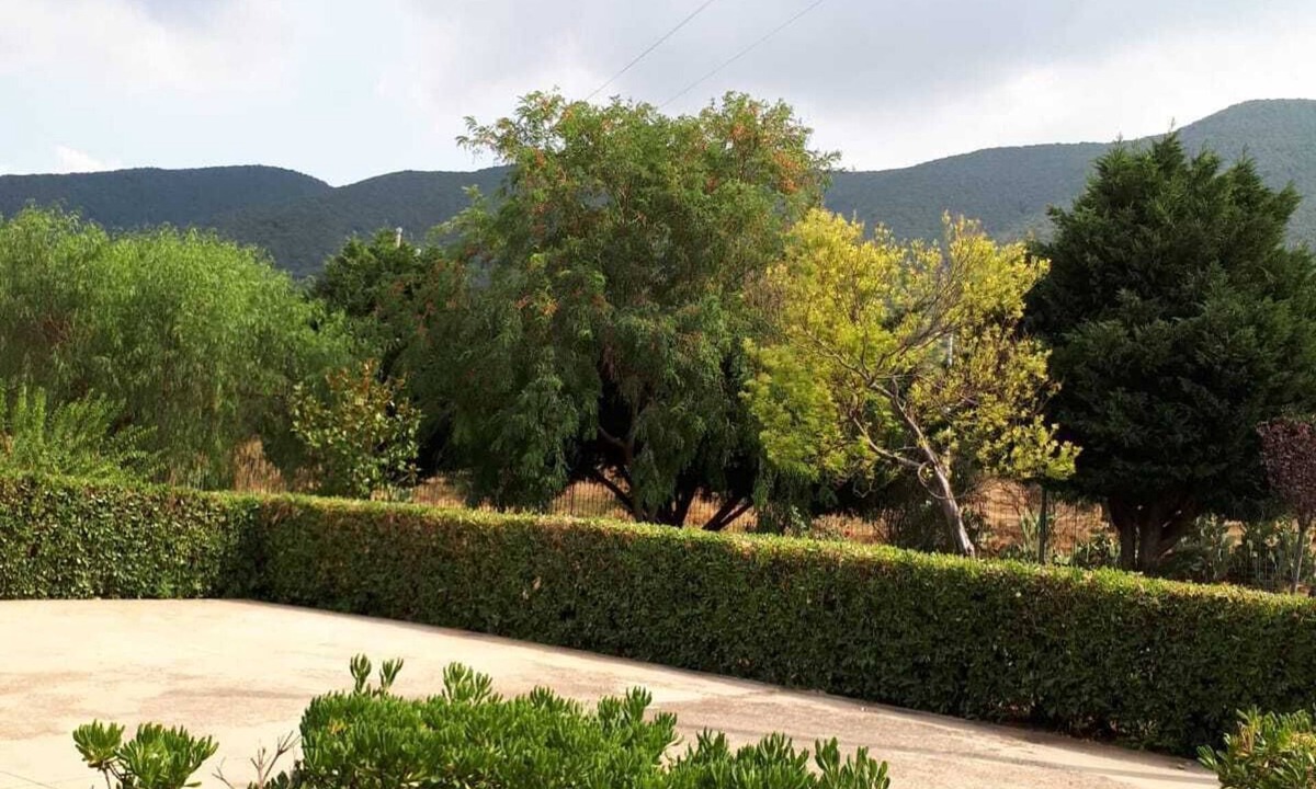 San Marco in Lamis Bed & Breakfast | B&B Porta del Gargano