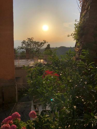 Magliano Bed & Breakfast | B&B QUIConti