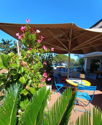Montiano Bed & Breakfast | B&B Terramare