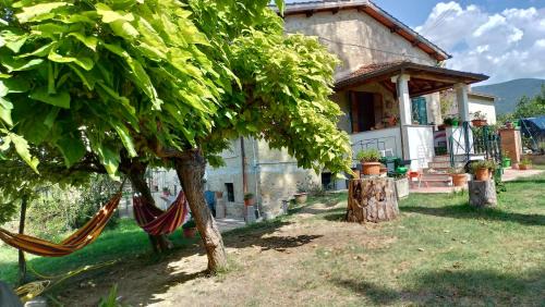 San Luigi House | Baduerughe - ValledelLago