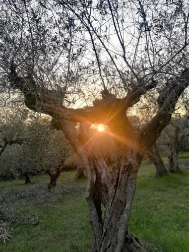 Fano House | BeBrettino Atipico. Un into the wild tranquillo