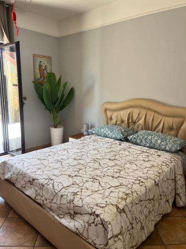 Marcianise Bed & Breakfast | Bed and Breakfast Medaglia D'oro
