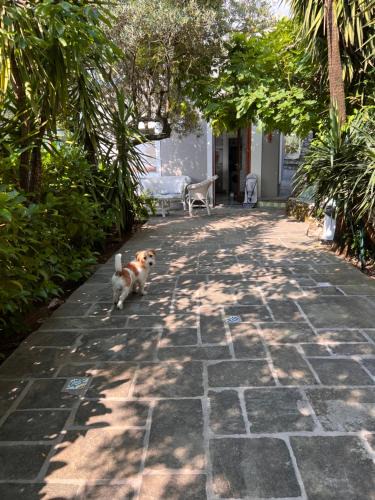 Maratea House | Bellavista garden house Maratea