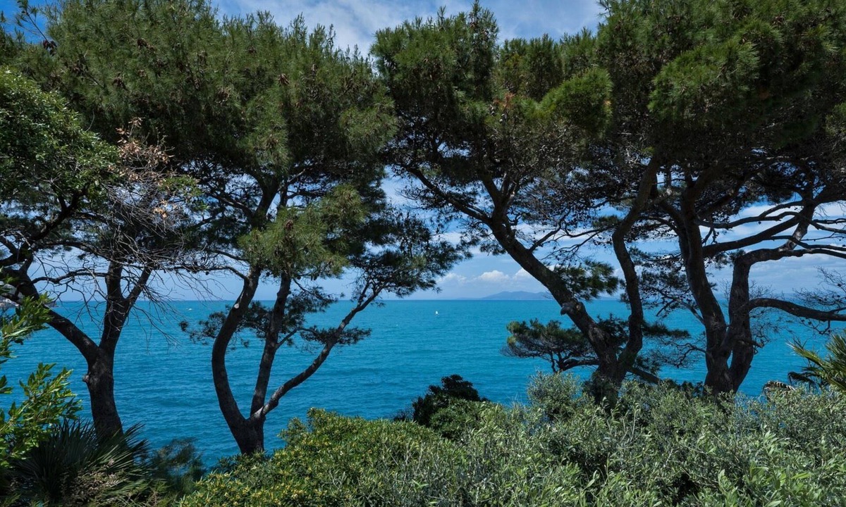 Porto Santo Stefano Apartment | Bellavista, Punta Nera, Monte Argentario, Grosseto and Maremma