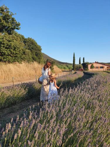 Grosseto House | Bio Agriturismo Le Giunchiglie