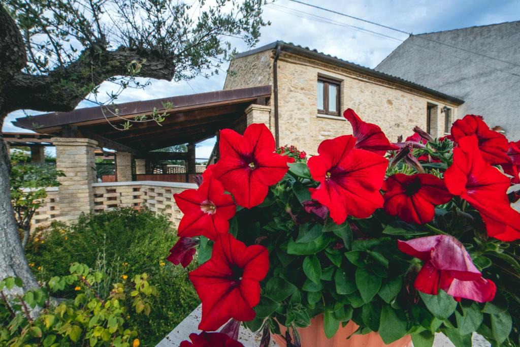 Crecchio House | Borgo Agrituristico Il Pino